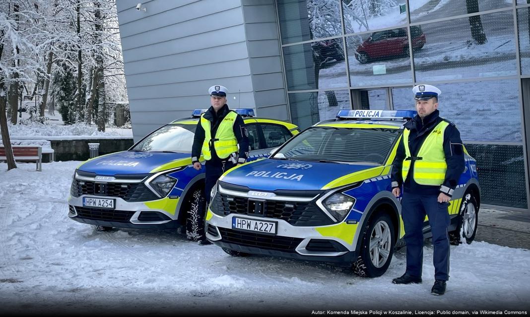 Ukradł panele fotowoltaiczne w Bystrzycy Kłodzkiej – zatrzymany przez policję