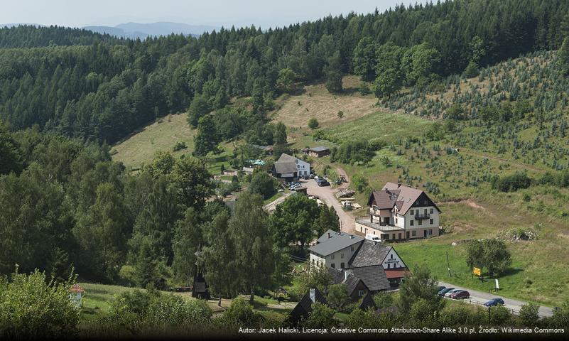 Pstrążna (Kudowa-Zdrój)